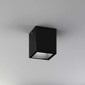 Polifemo Quadro
